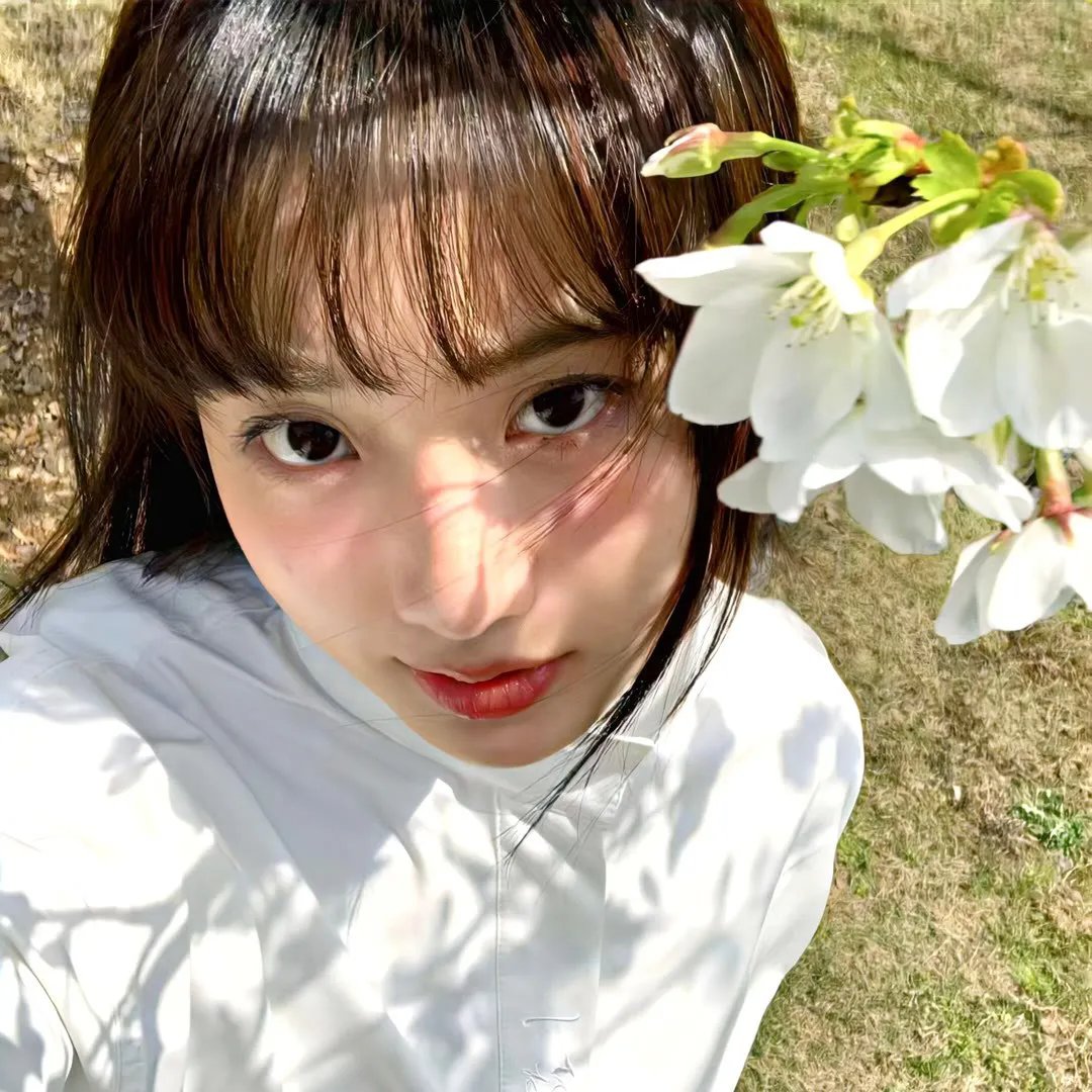 布里叶女士